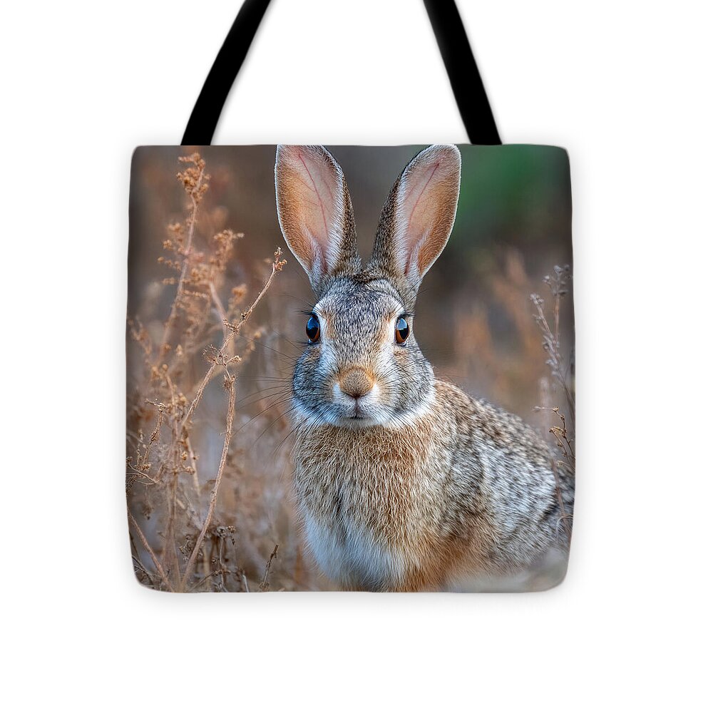 Rabbit in a Field - Tote Bag