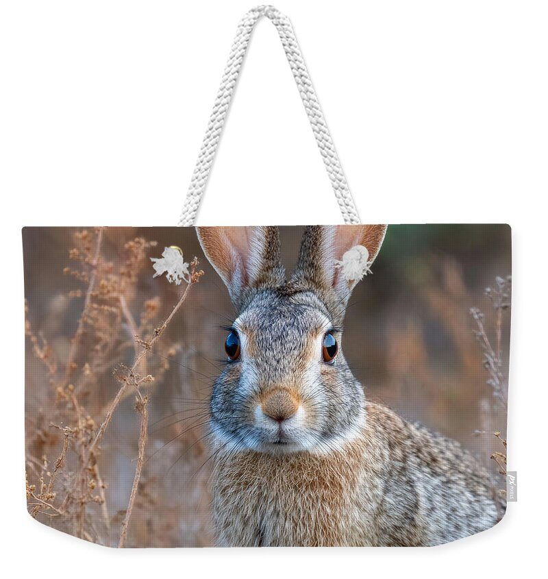 Rabbit in a Field - Weekender Tote Bag