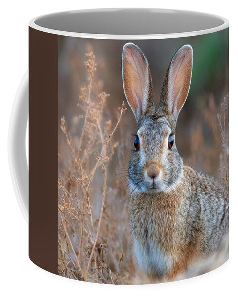 Rabbit in a Field - Mug