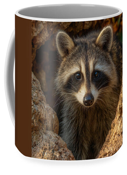 Raccoon Peeking Through Tree Trunk - Mug