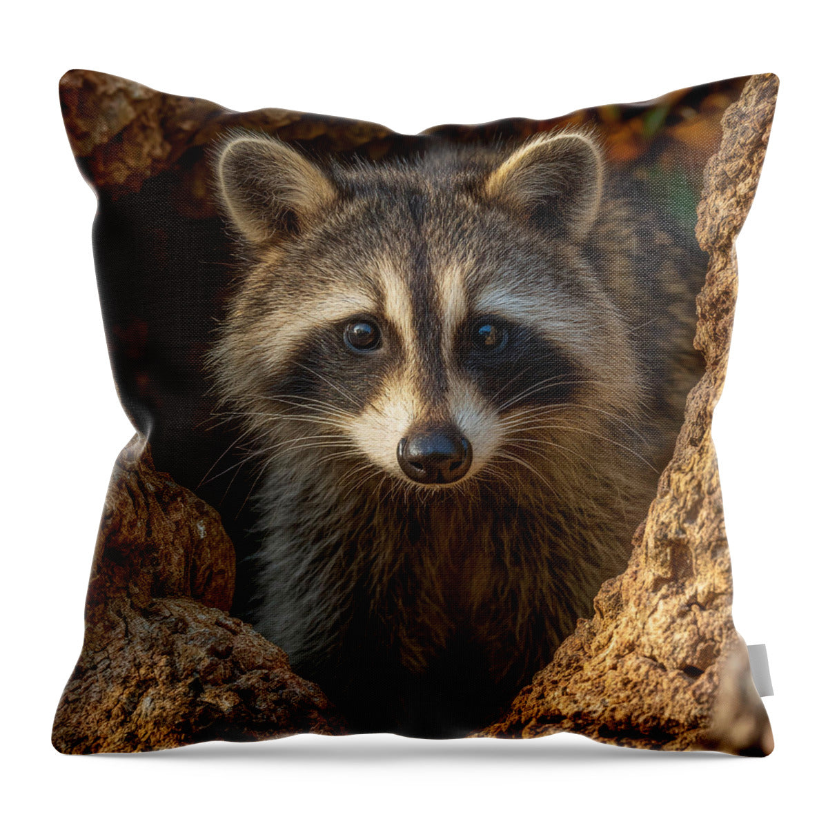 Raccoon Peeking Through Tree Trunk - Throw Pillow