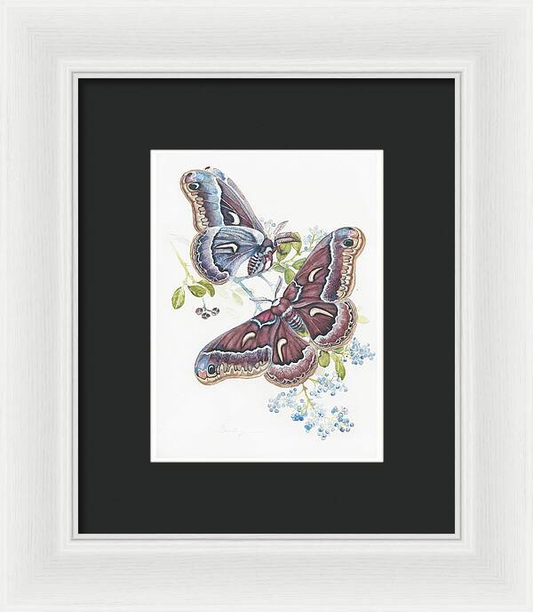 Silk Moth - Framed Print
