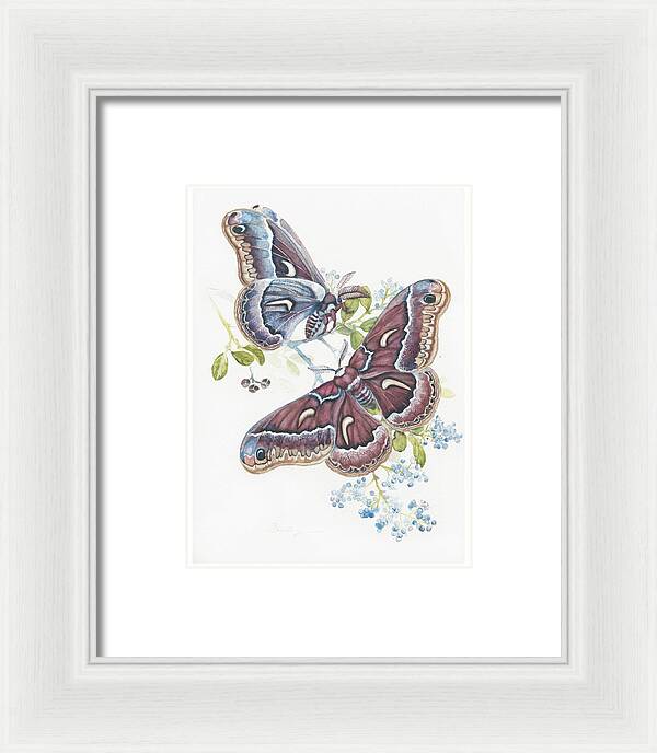 Silk Moth - Framed Print