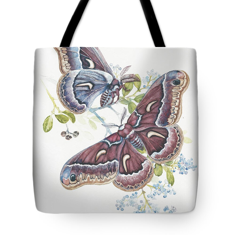 Silk Moth - Tote Bag