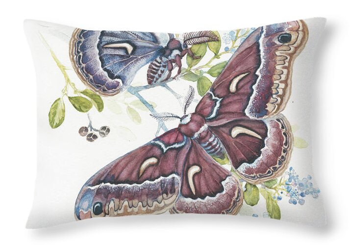 Silk Moth - Throw Pillow