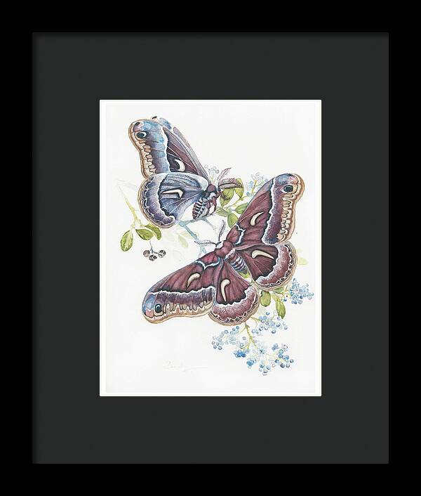 Silk Moth - Framed Print