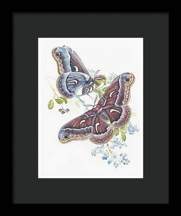 Silk Moth - Framed Print