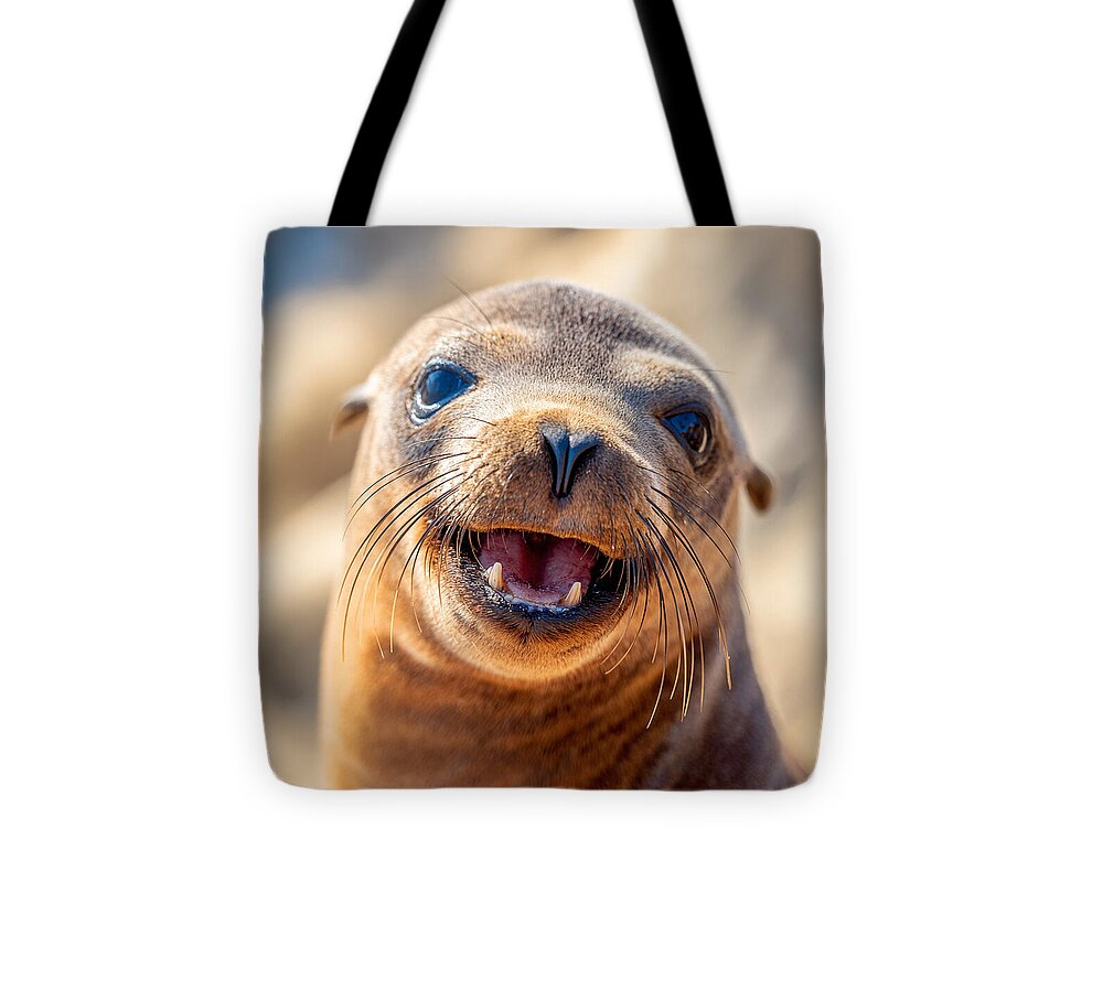 Smiling Sea Lion Pup - Tote Bag
