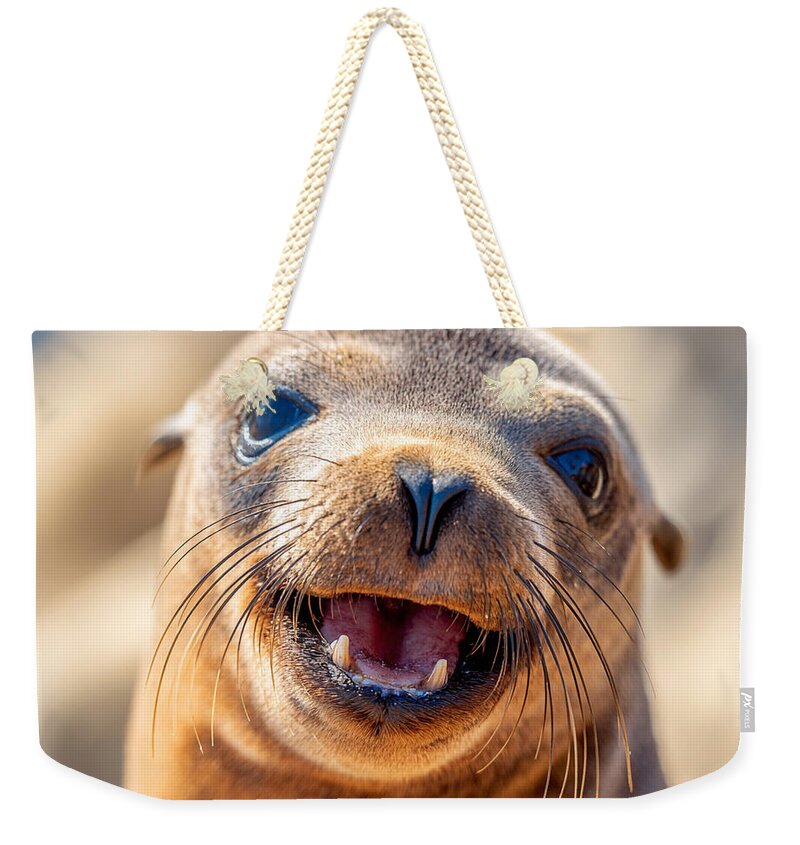 Smiling Sea Lion Pup - Weekender Tote Bag