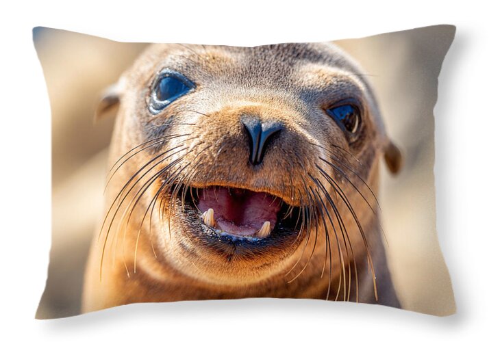Smiling Sea Lion Pup - Throw Pillow