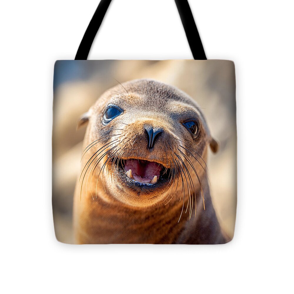 Smiling Sea Lion Pup - Tote Bag