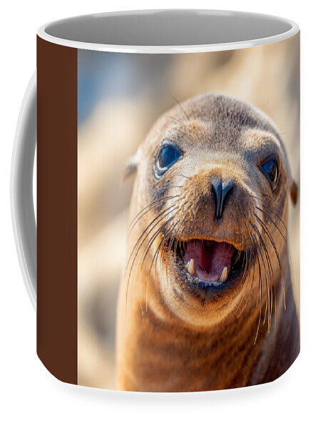 Smiling Sea Lion Pup - Mug