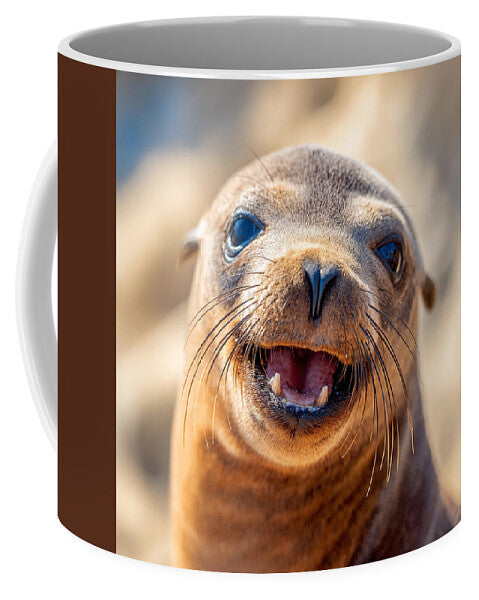 Smiling Sea Lion Pup - Mug