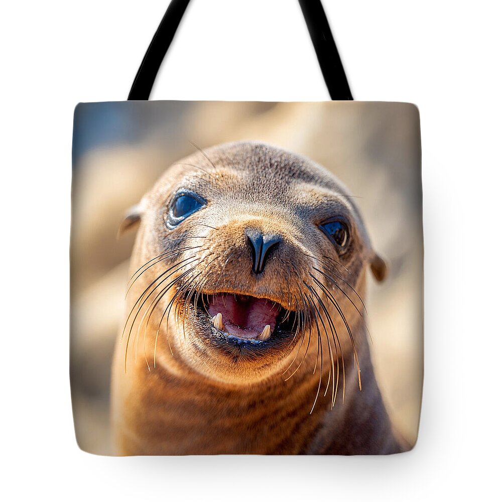 Smiling Sea Lion Pup - Tote Bag