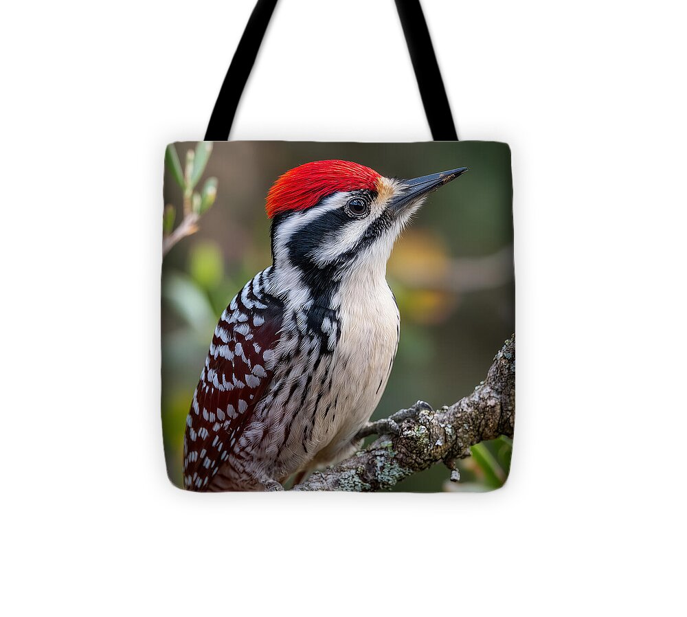 Vibrant Red-Capped Woodpecker - Tote Bag