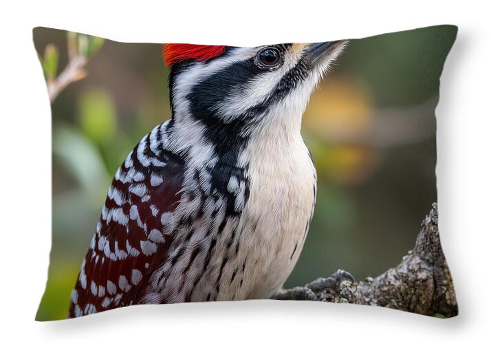 Vibrant Red-Capped Woodpecker - Throw Pillow
