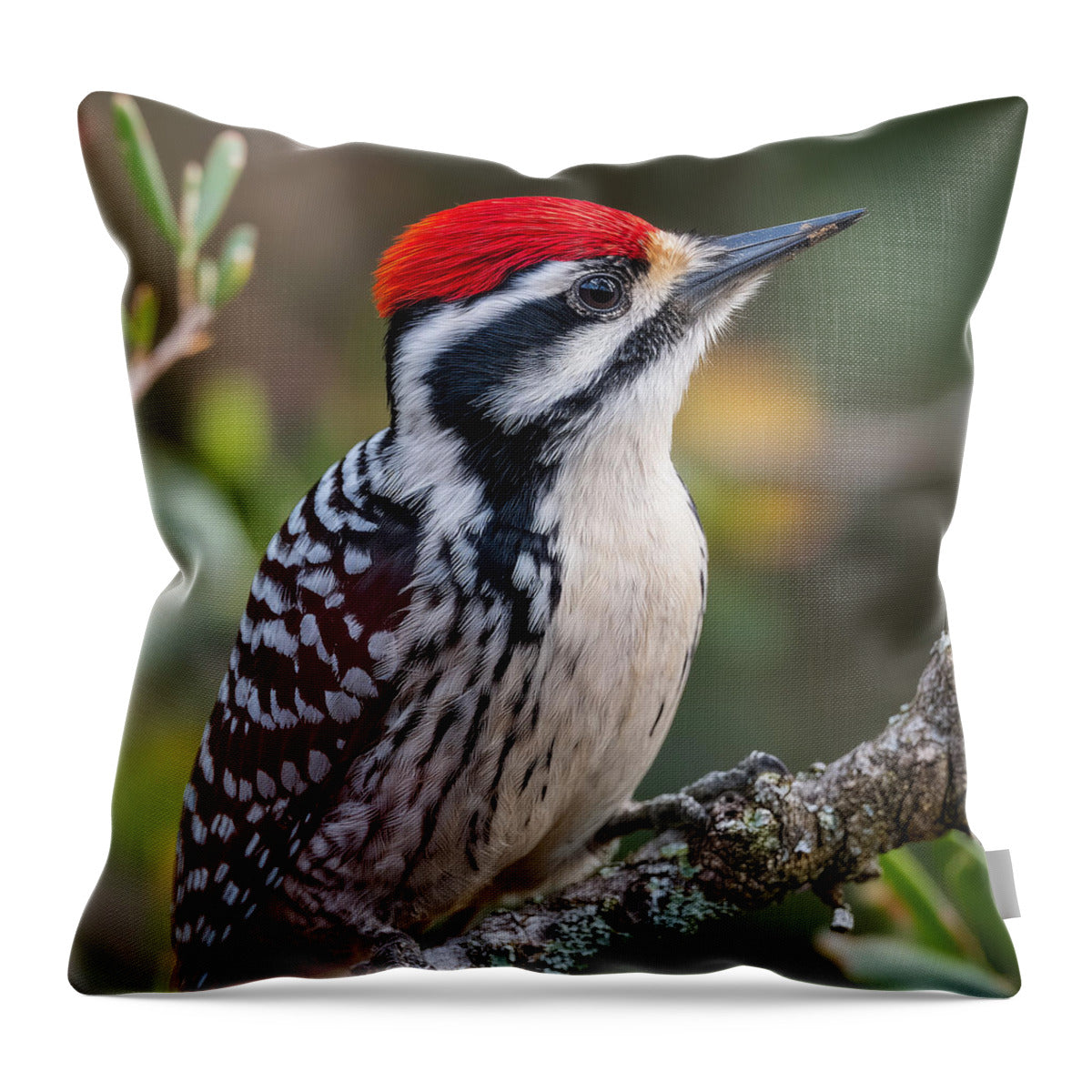 Vibrant Red-Capped Woodpecker - Throw Pillow