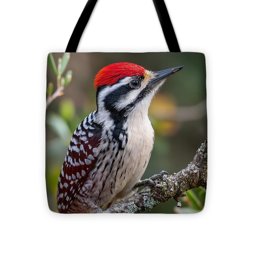 Vibrant Red-Capped Woodpecker - Tote Bag