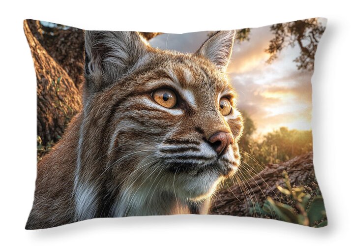 Watchful Lynx at Sunset - Throw Pillow