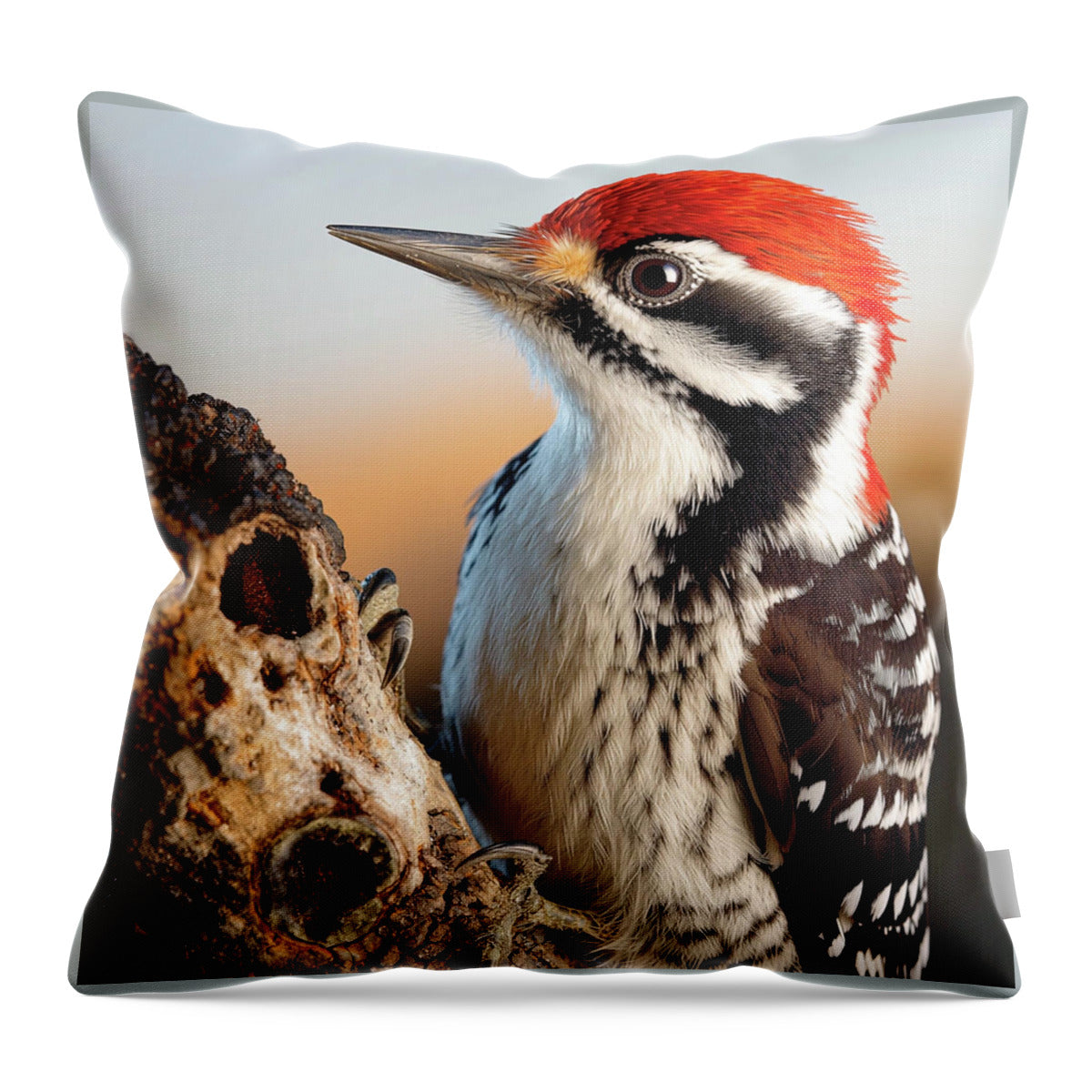 Woodpecker - Throw Pillow