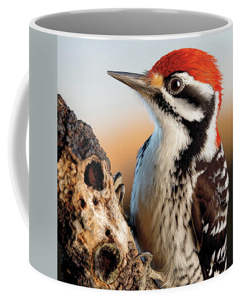 Woodpecker - Mug