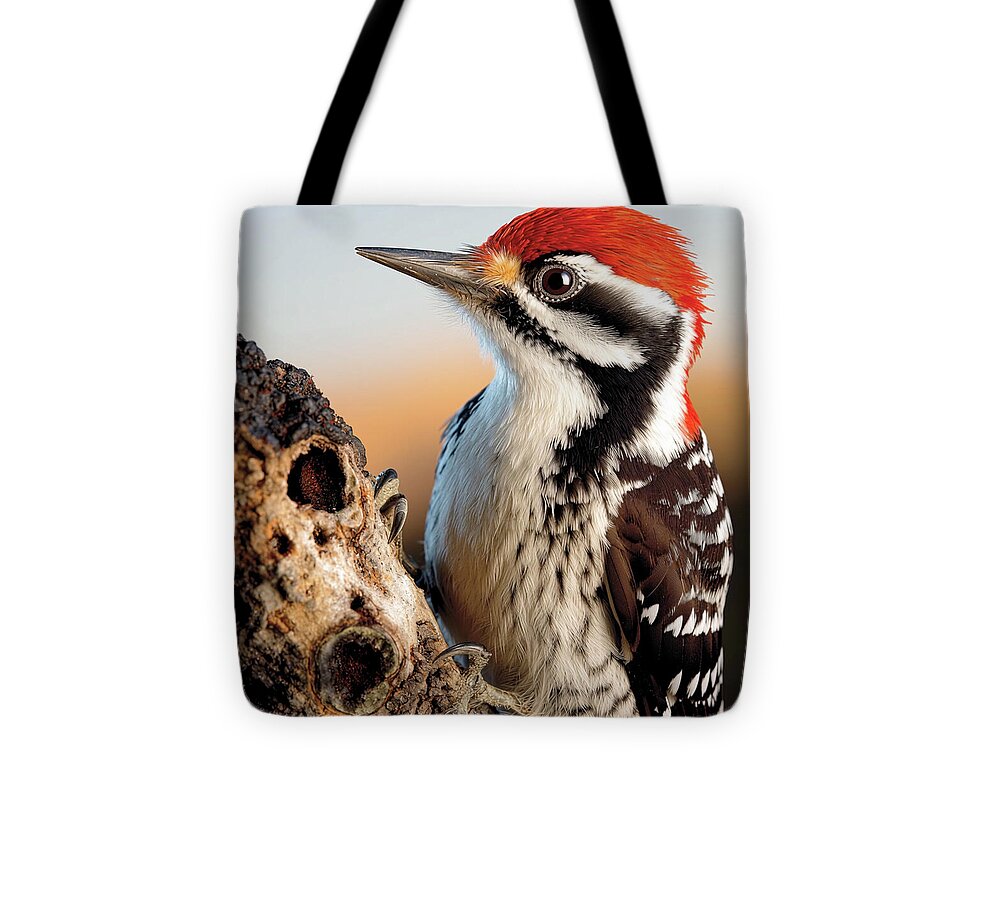 Woodpecker - Tote Bag
