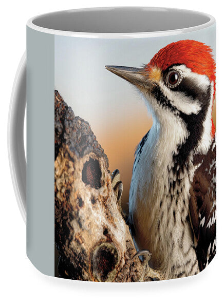 Woodpecker - Mug